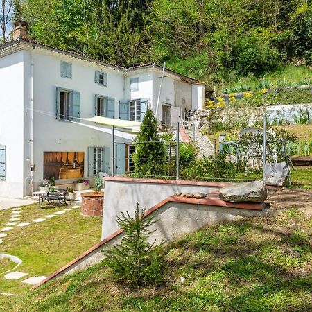 Le Mas De La Coupiere Serres-sur-Arget Luaran gambar